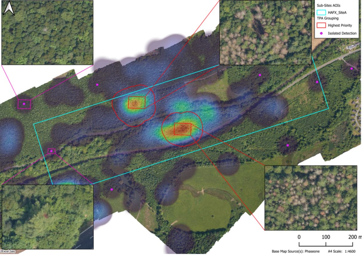 Blog: Forests and Innovation