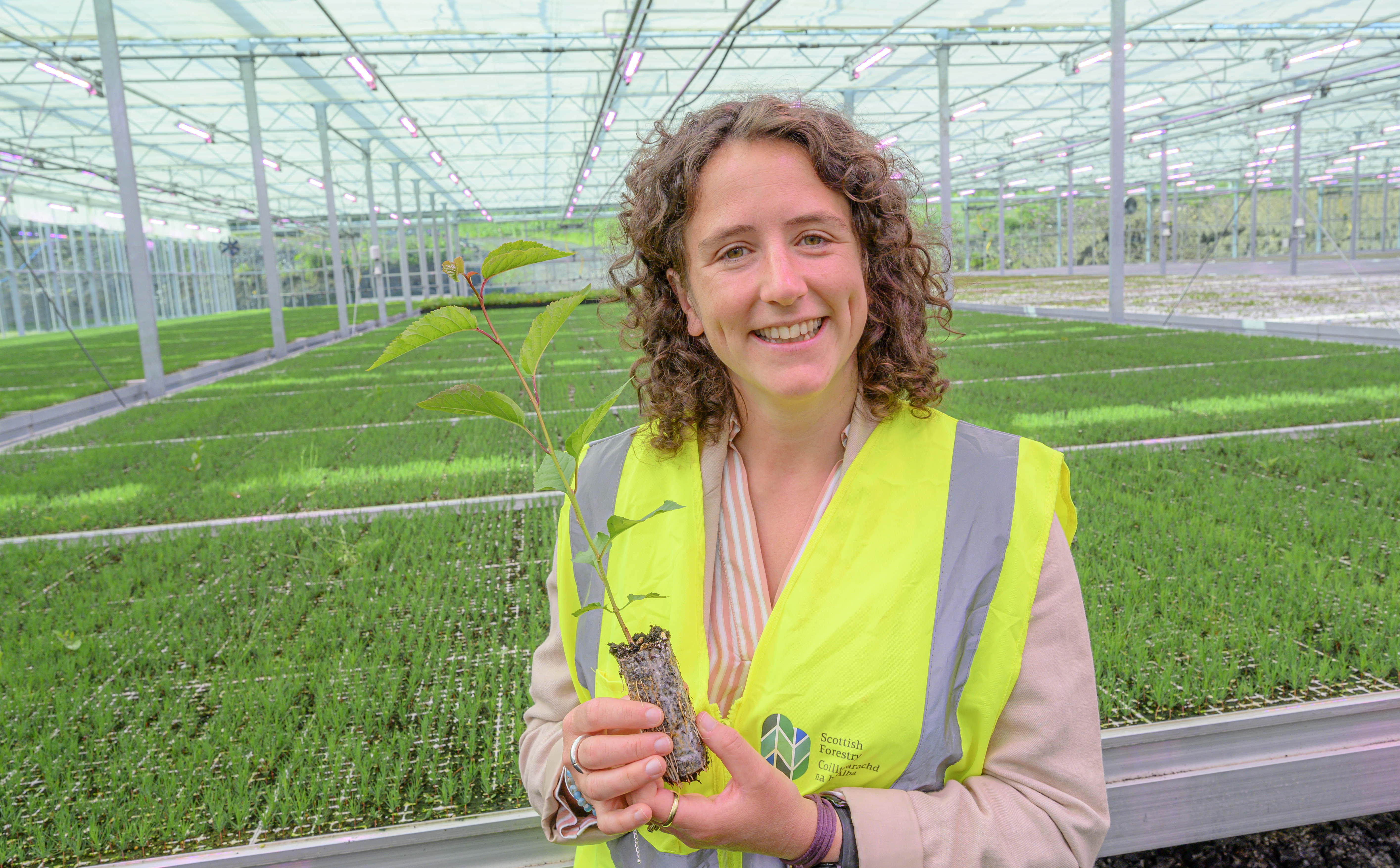 New forestry standard will promote sustainable forestry in Scotland