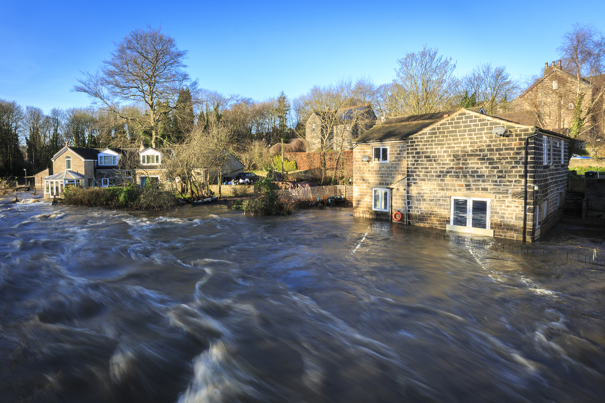 Study puts value on Scotland’s trees that prevent flooding