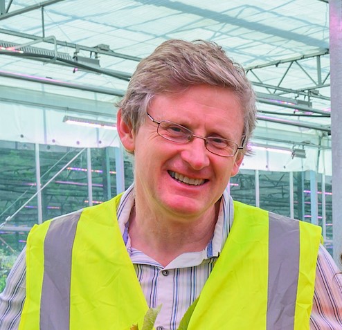 Blog: Working to boost tree planting