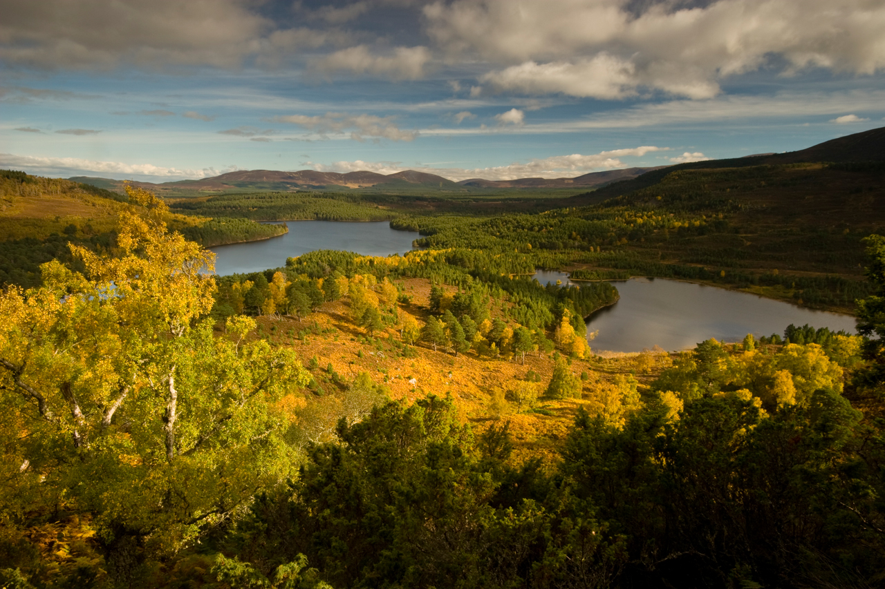 Scotland showing leadership on climate forests