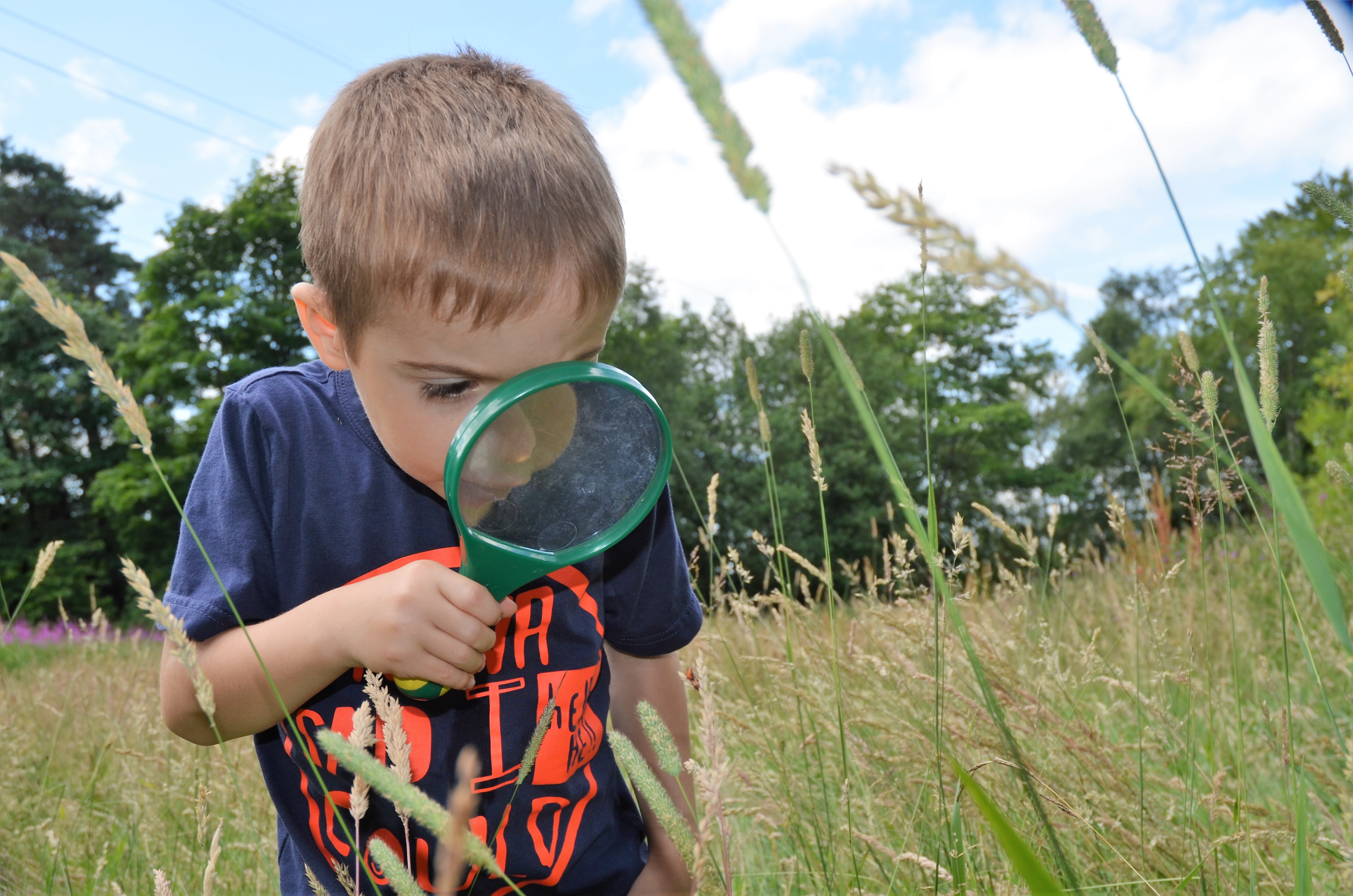 Join the deadgood deadwood survey