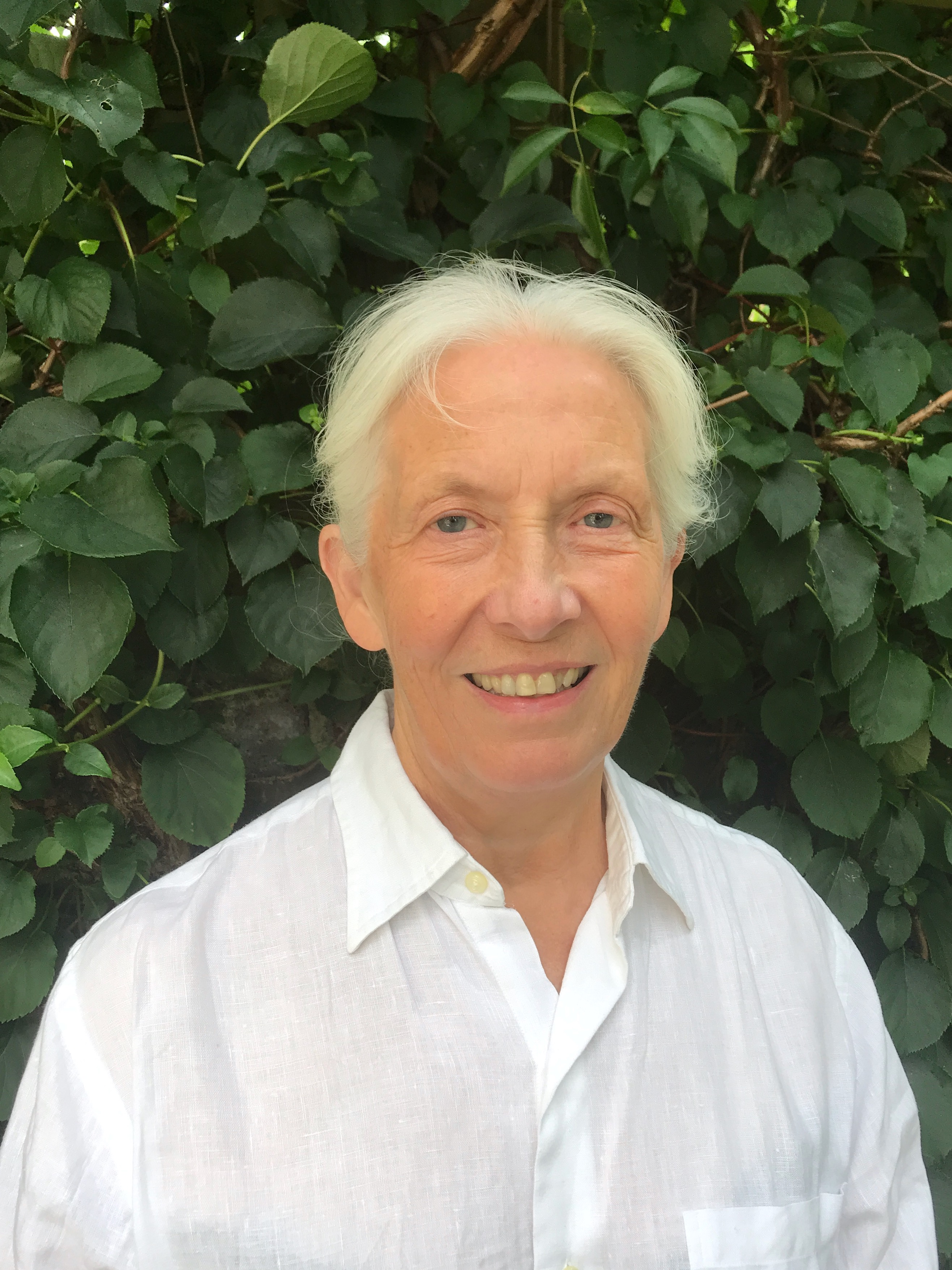 Chief Forester for Scotland