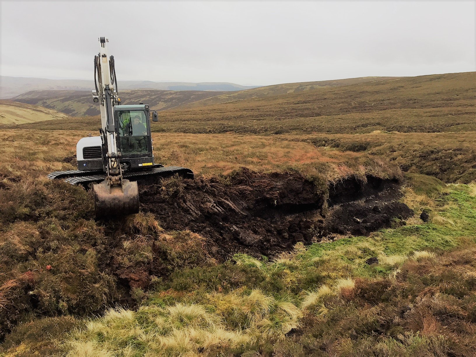 Green carbon initiatives join forces to expand the UK market