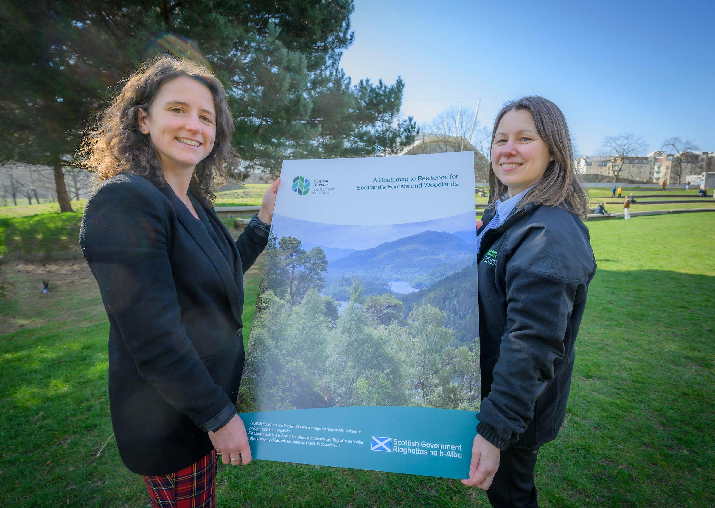 Strategic plan launched to build resilience in Scotland’s forests