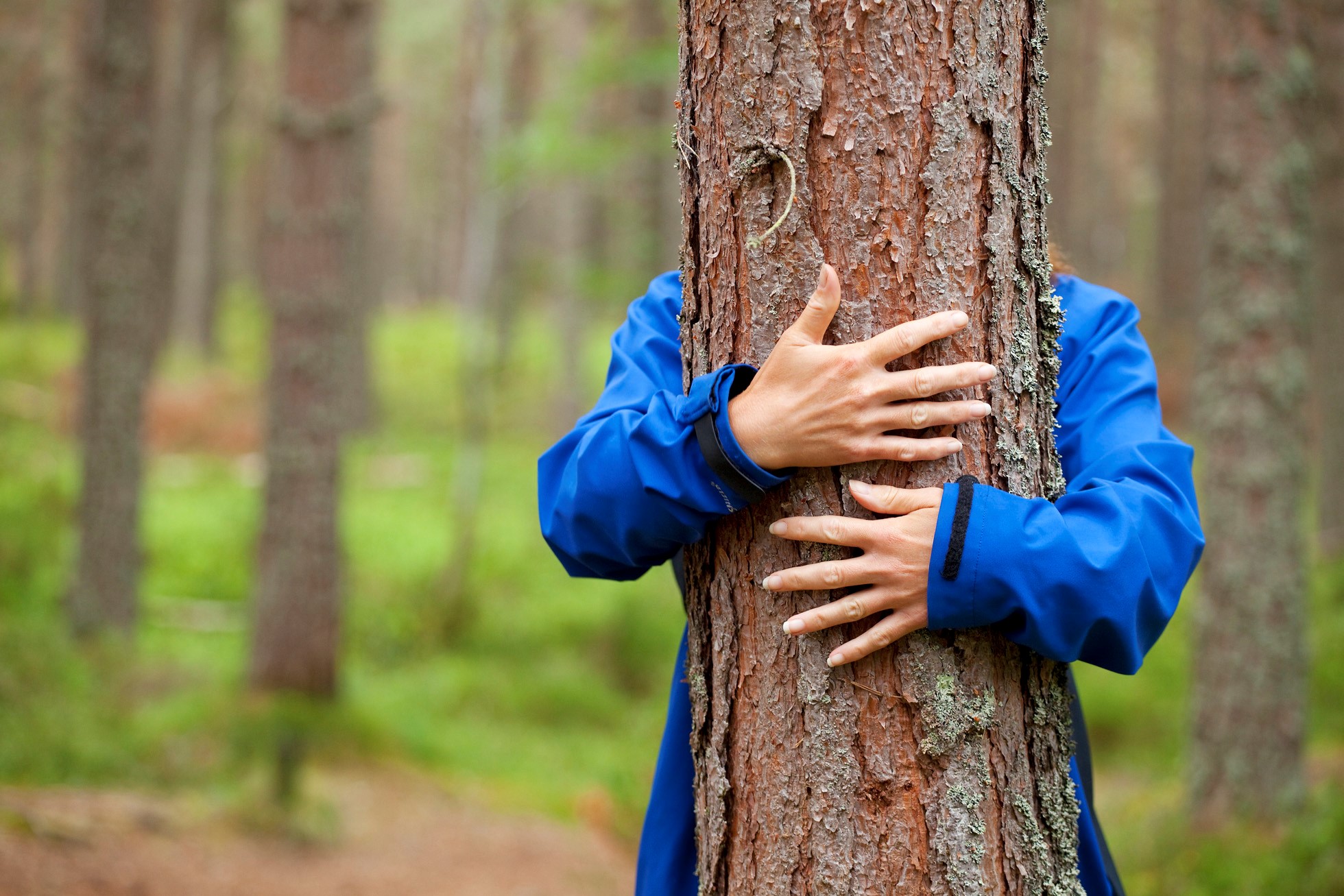 Blog: Let’s Get Walking!