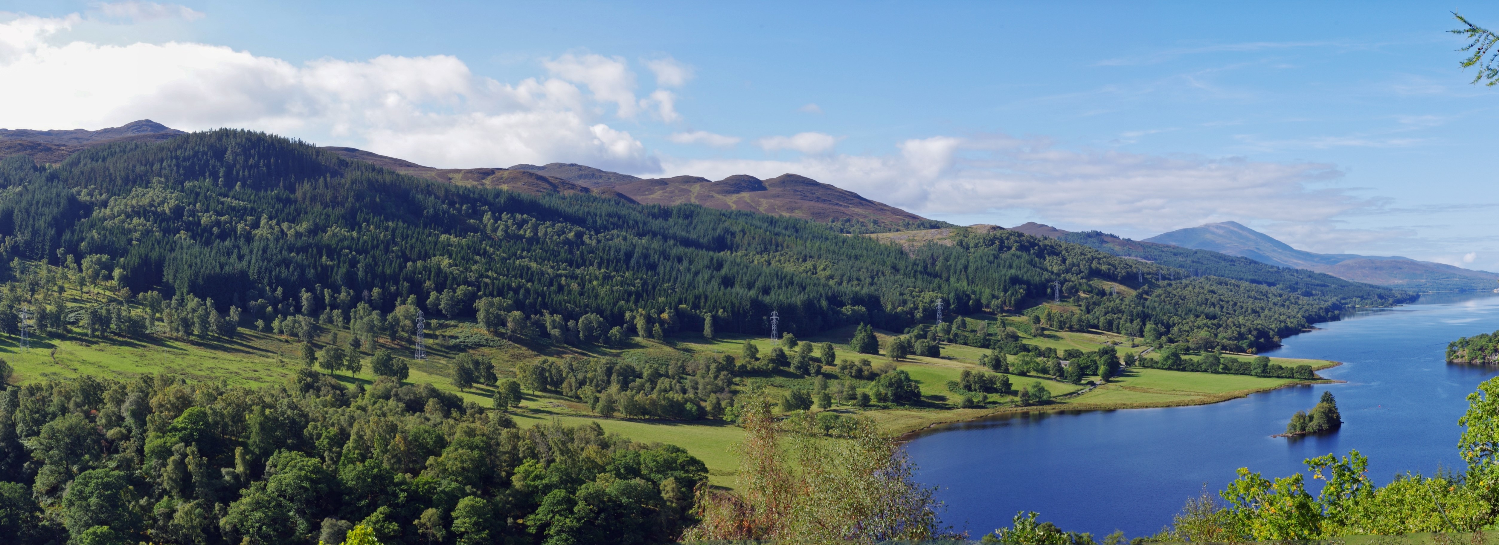 Blog: Tree-mendous help on offer to farmers