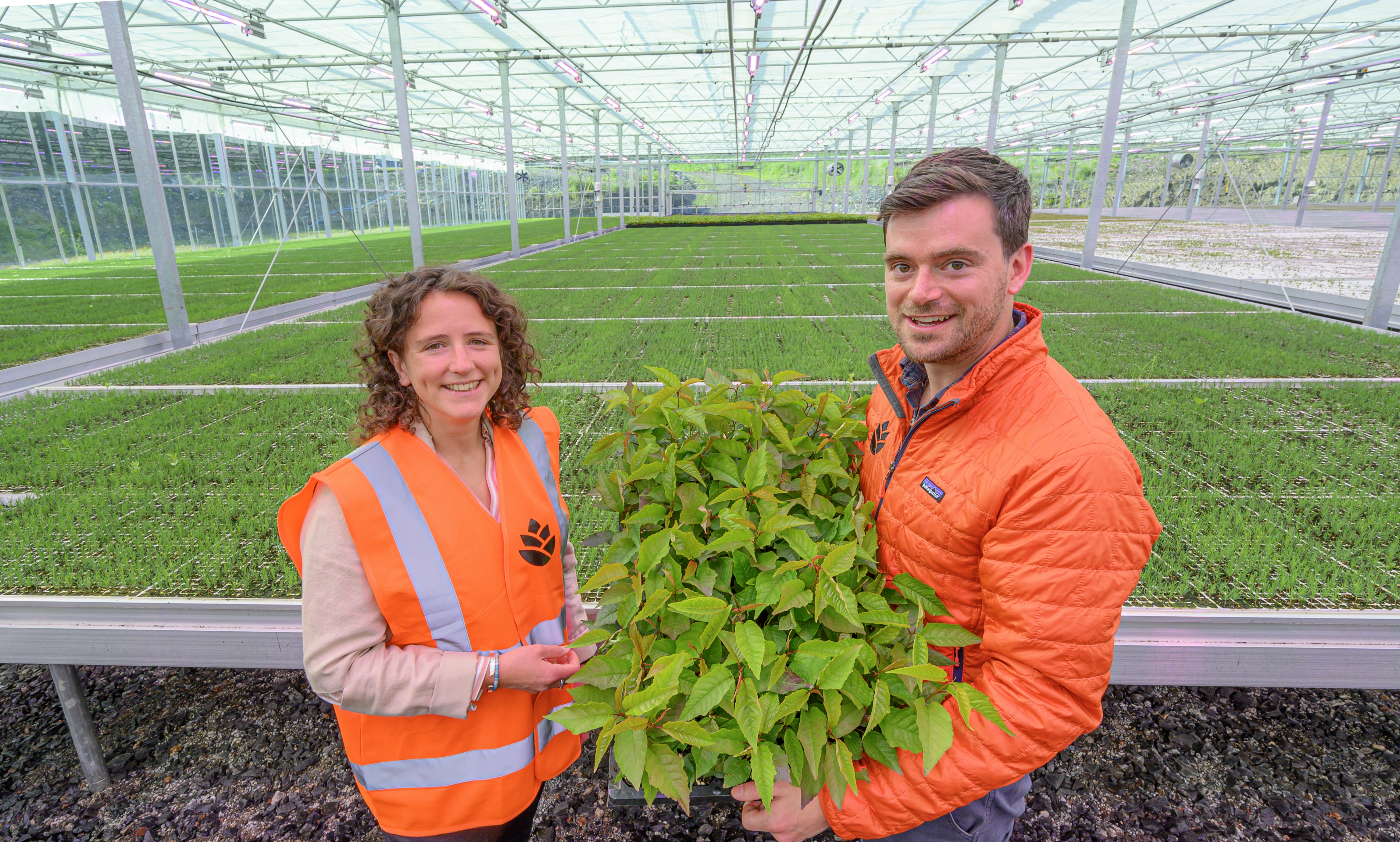 New forestry measures to include £1 million investment in skills