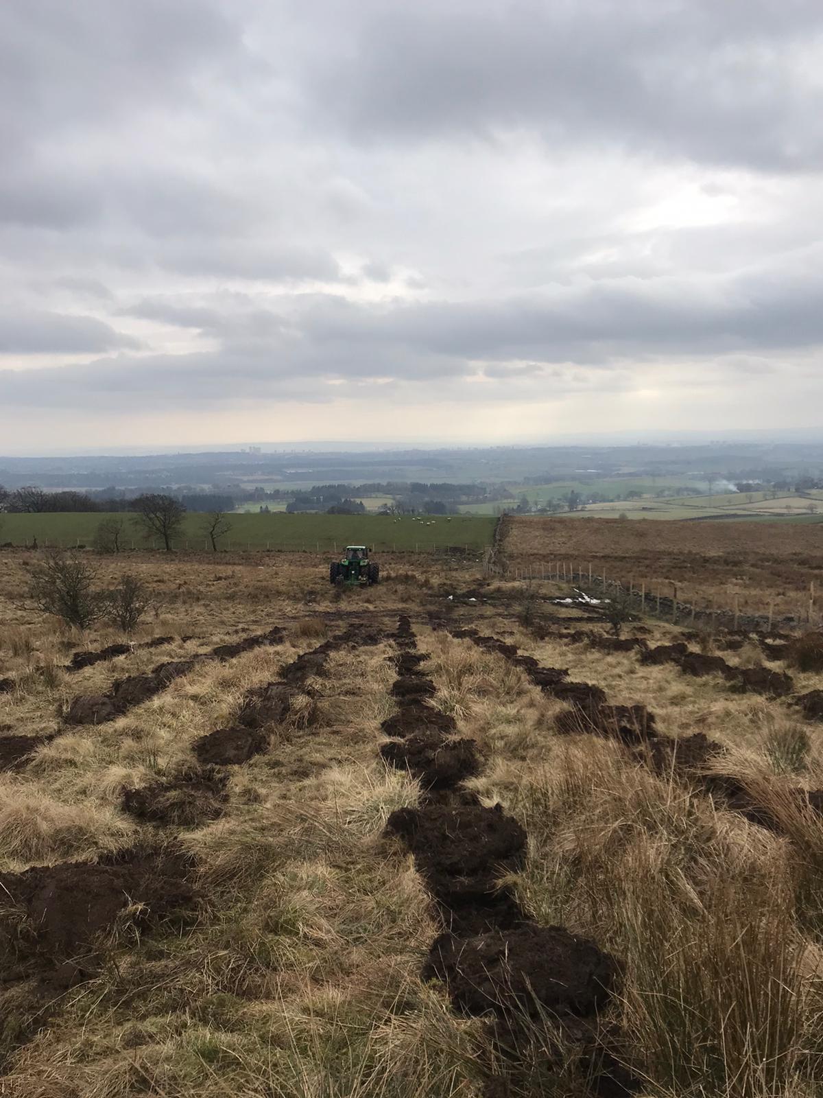 Forestry action to protect peatlands