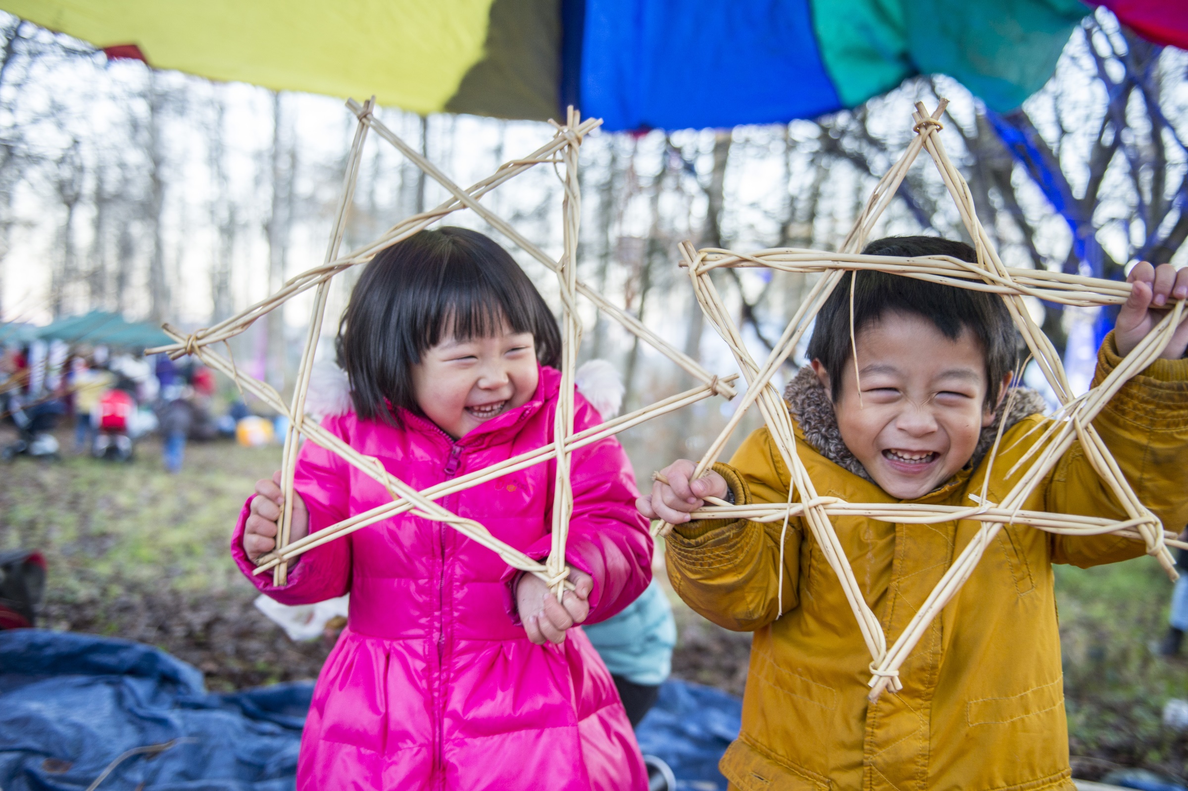 PW FCS Tree Dressing Malls Mire Community Woodland 44