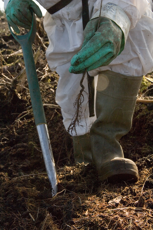 Deadline extended for forestry grant claims