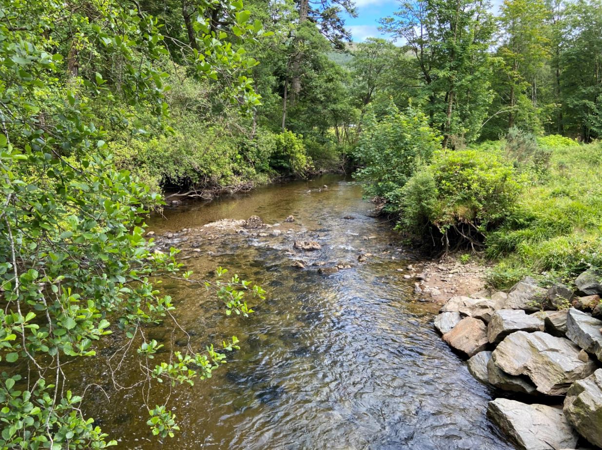 Boosting tree planting around rivers and streams