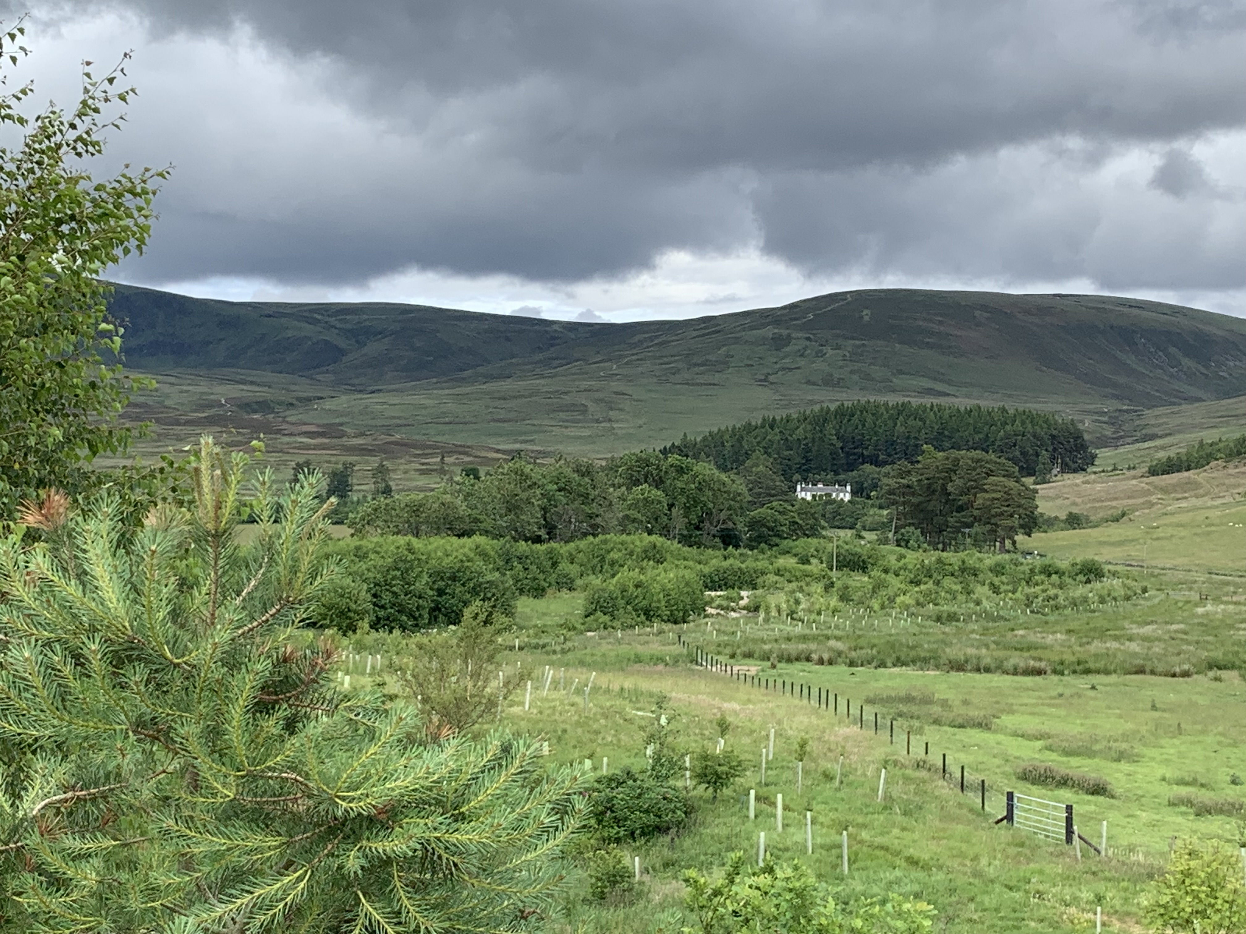 Angus estate to share landscape best practice