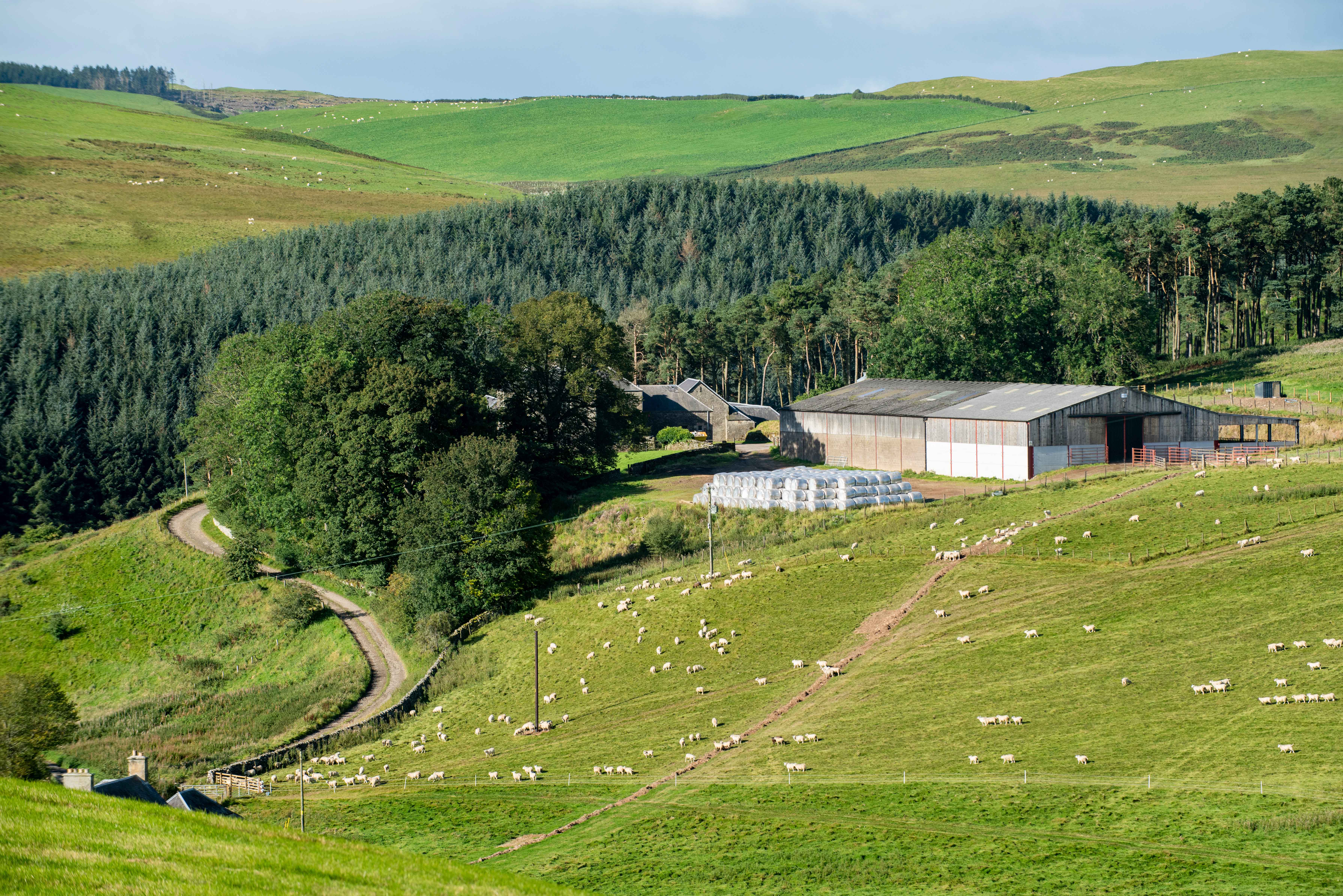 Hawick farmer promotes tree planting at local event