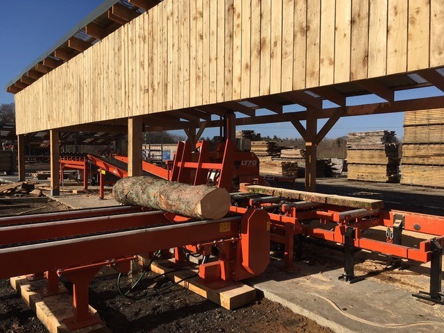 Scottish Woodlands bandsaw