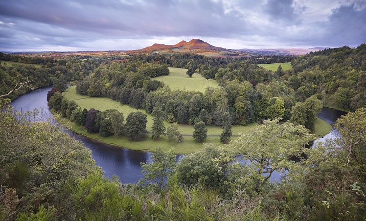 Devolution of forestry to Scotland completed