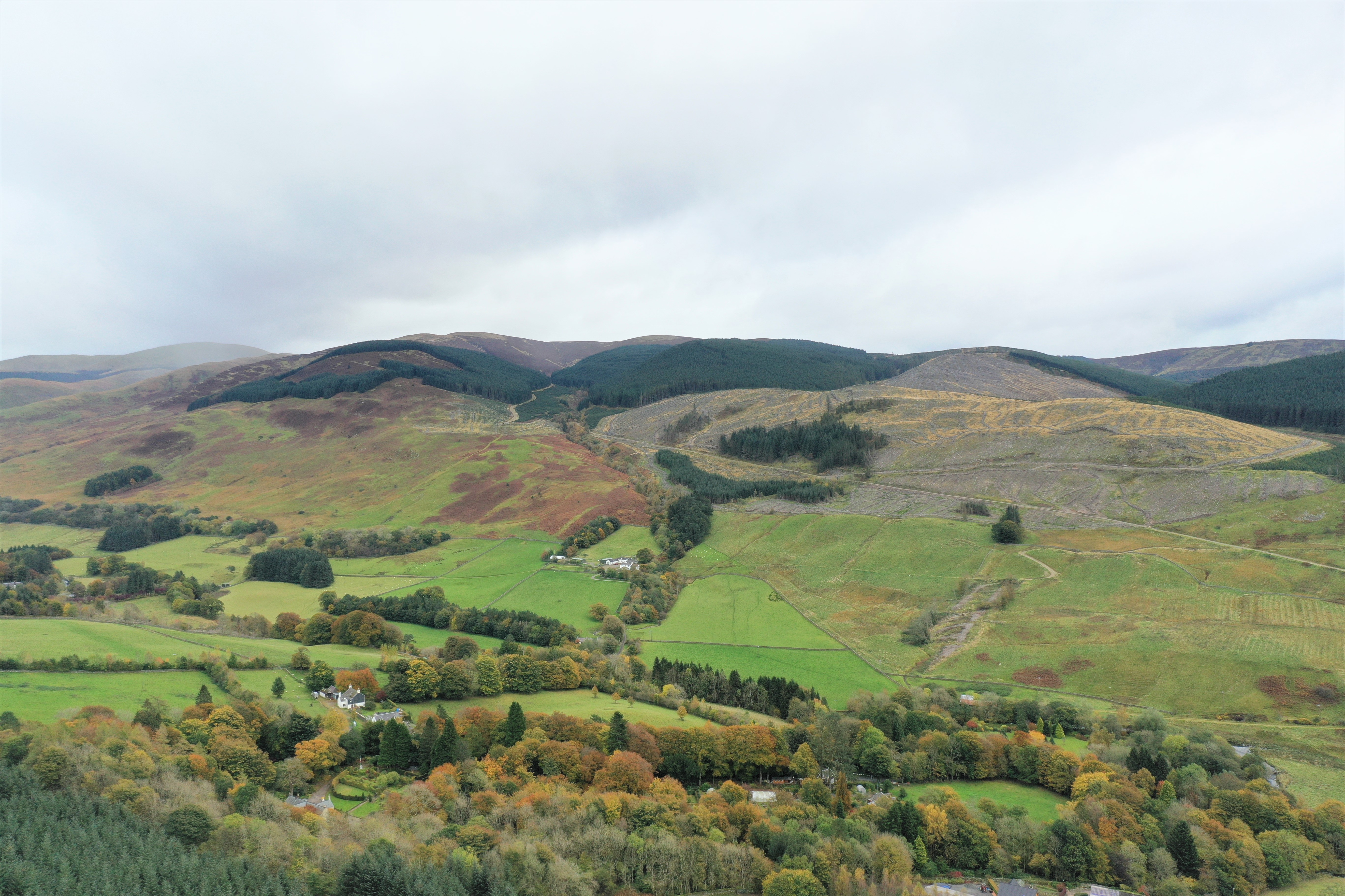 Broadleaved woodland set for Dumfriesshire
