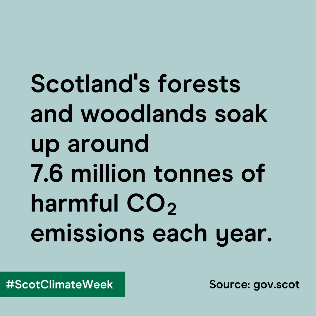 Social asset Nature 4.1 1080x1080 Climate Conversations