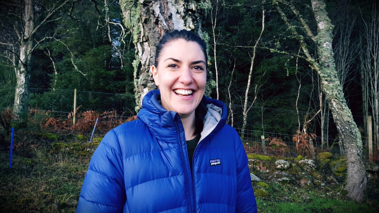 Fantastic four - new young faces for forestry