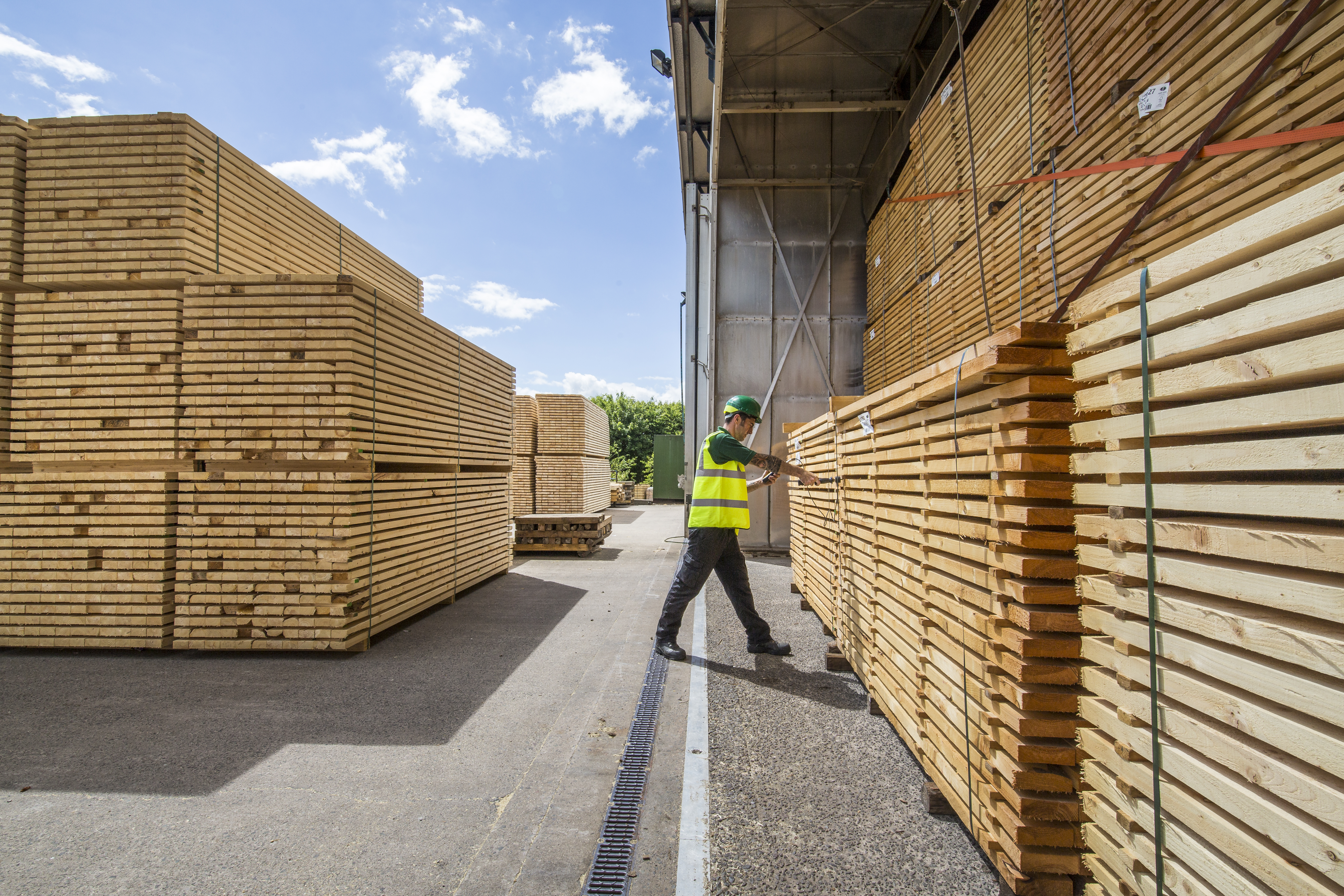 Timber yard