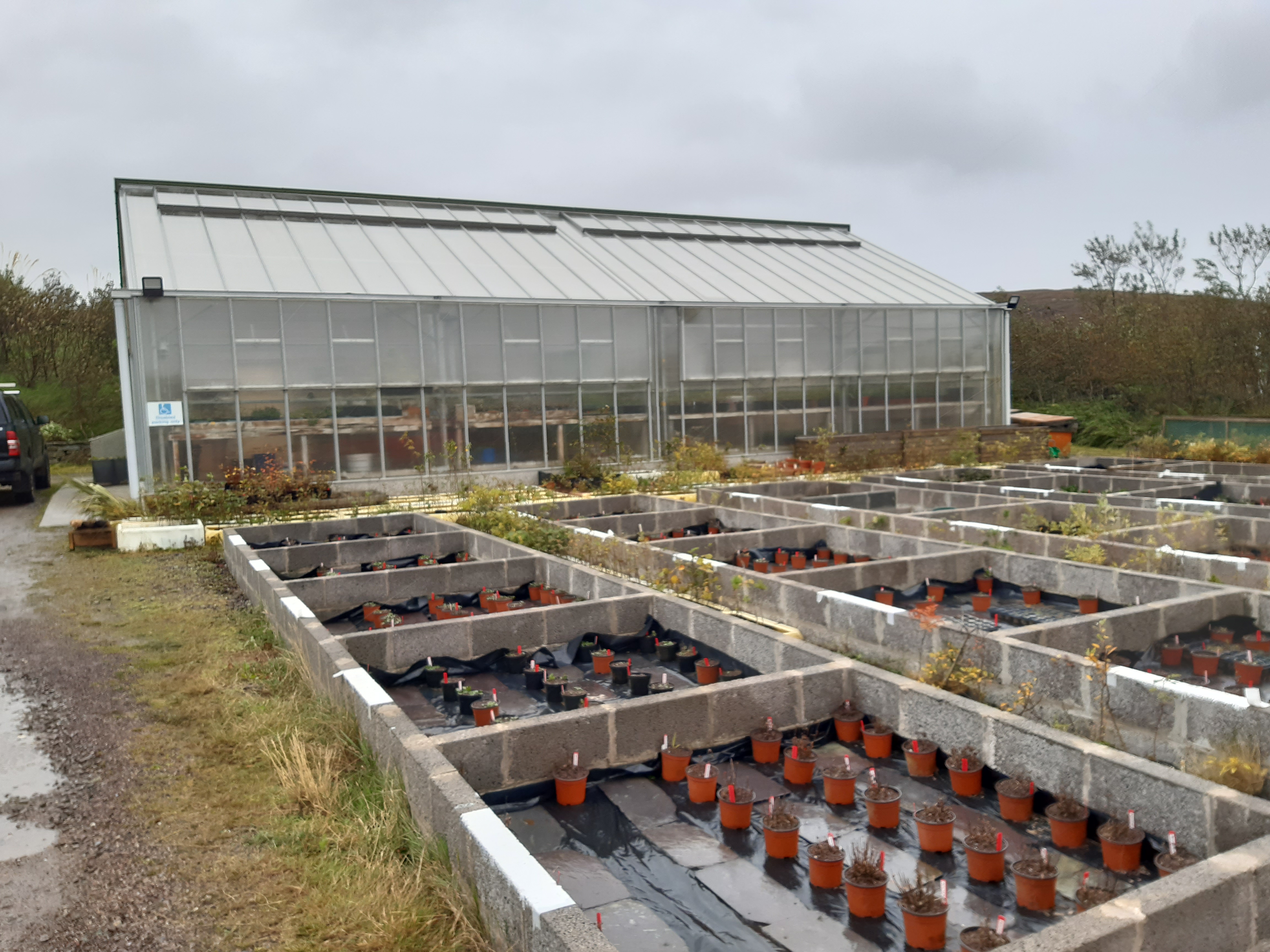 Shetland gears up for more tree planting