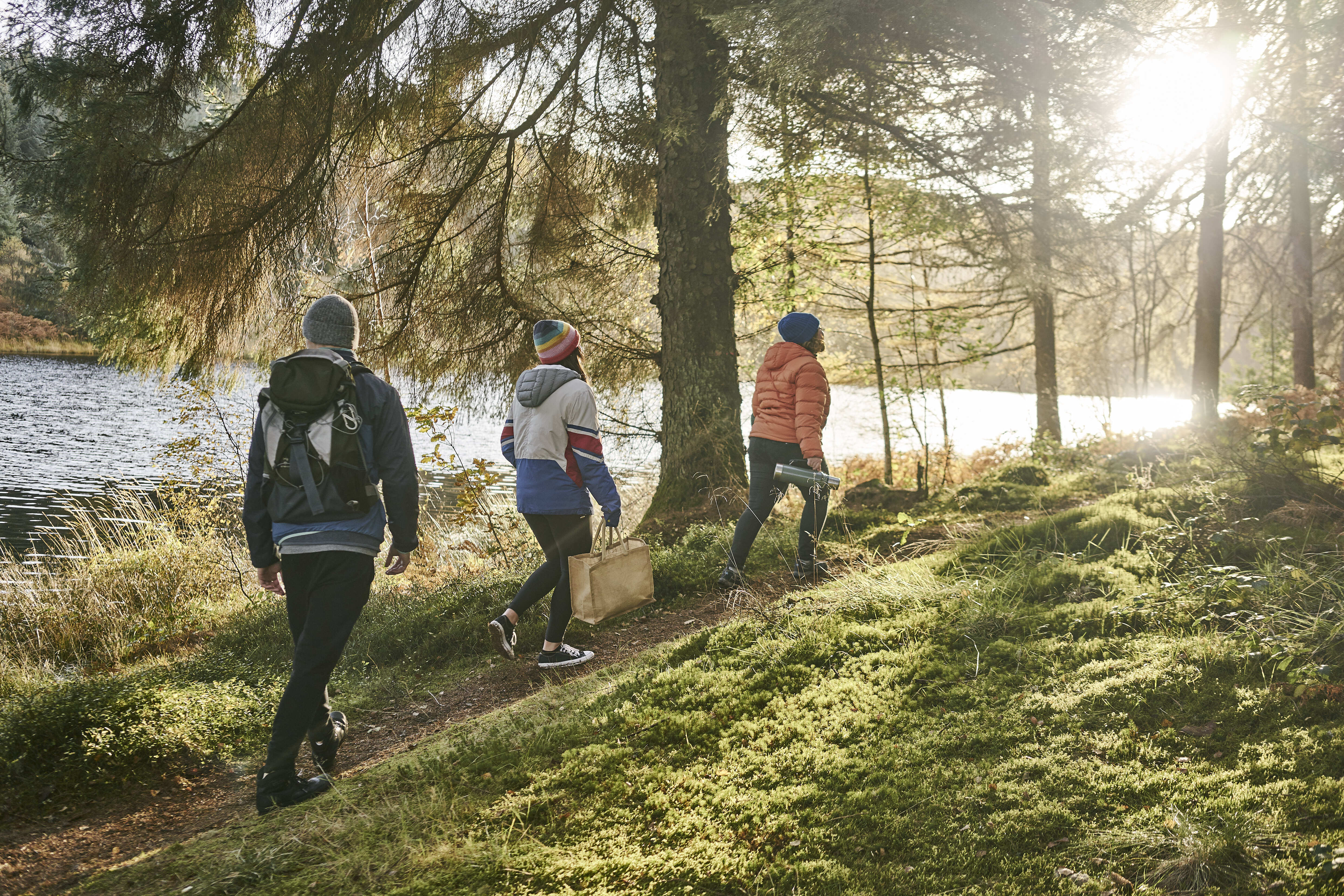 Study puts a value on mental health and woodlands