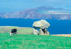 A grazed archeological site