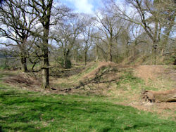 Earthworks of a hillfort