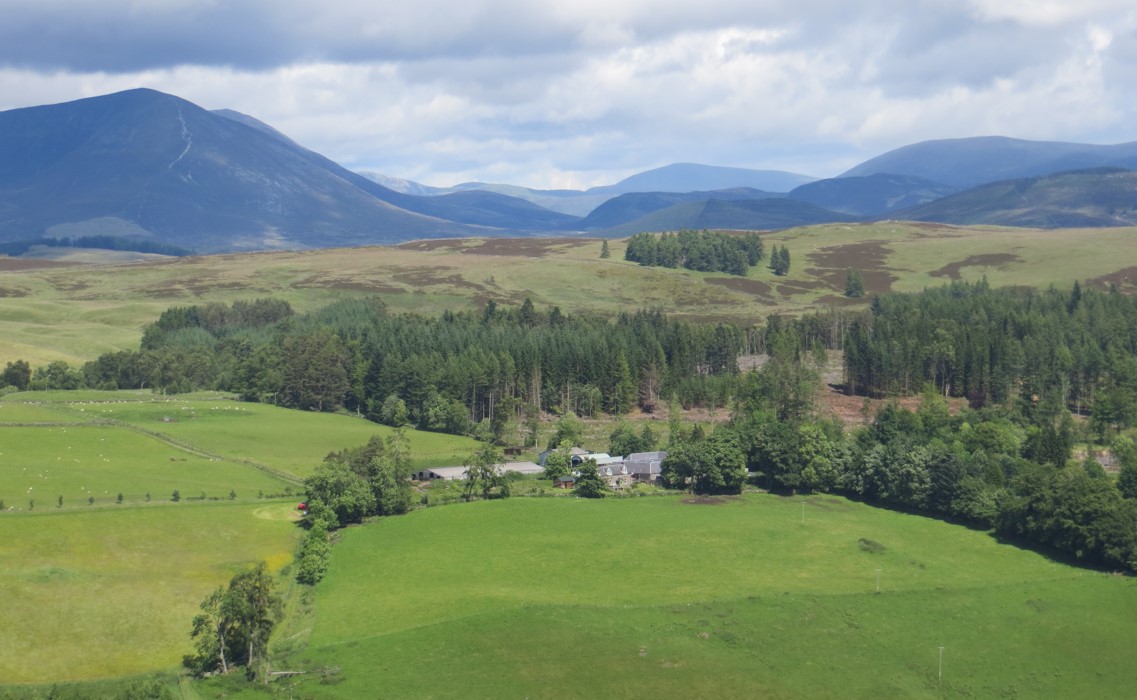 Perthshire event to promote growing trees to farmers