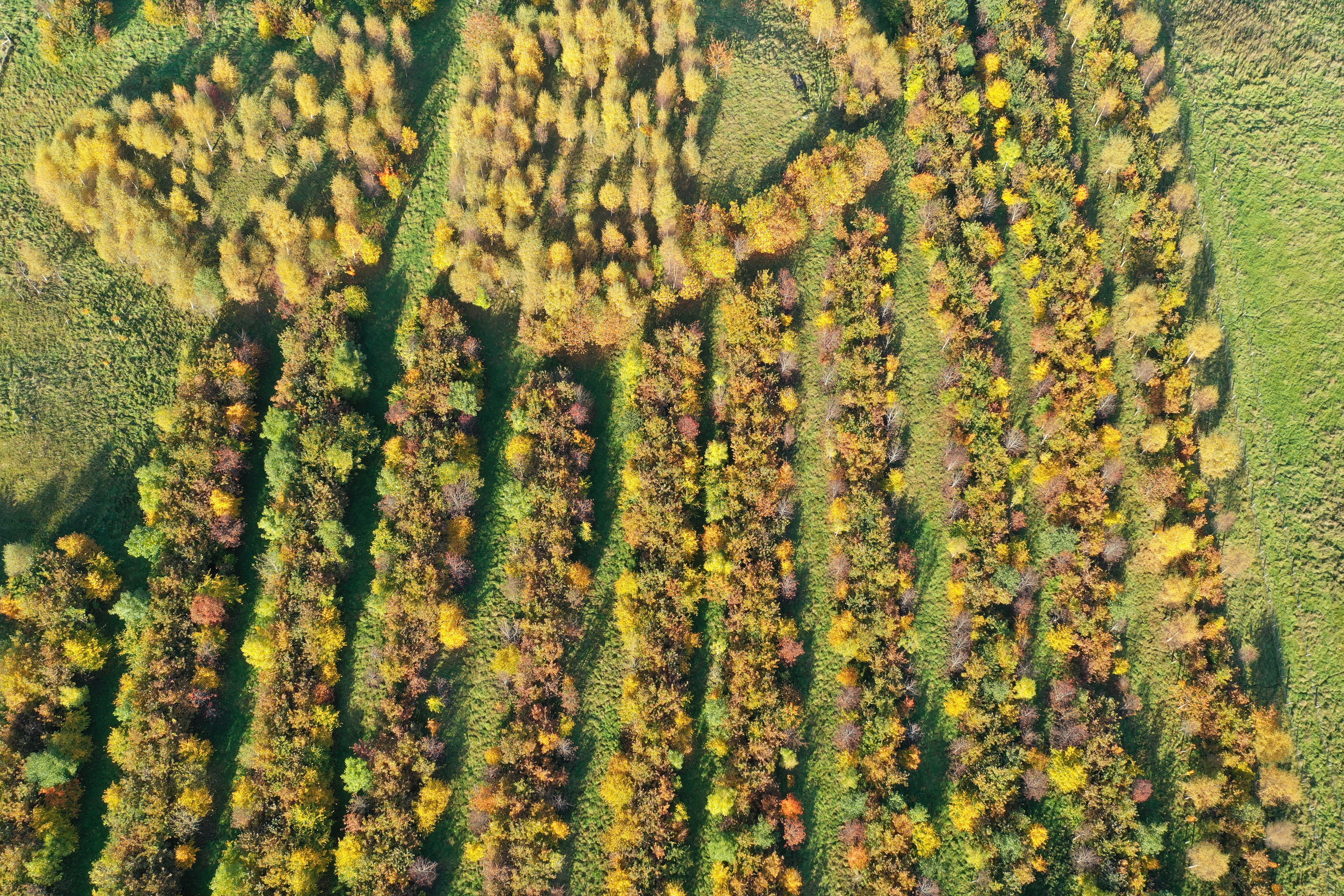 Event to help you make the most out of timber