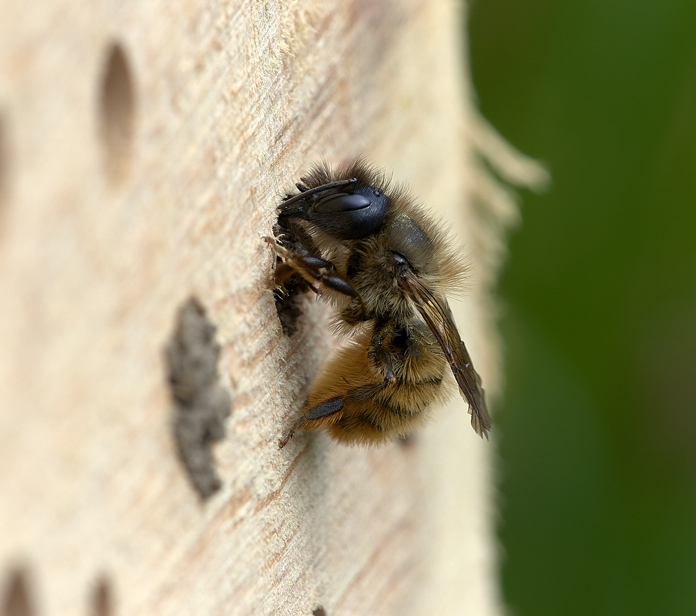 sealing chamber with mud