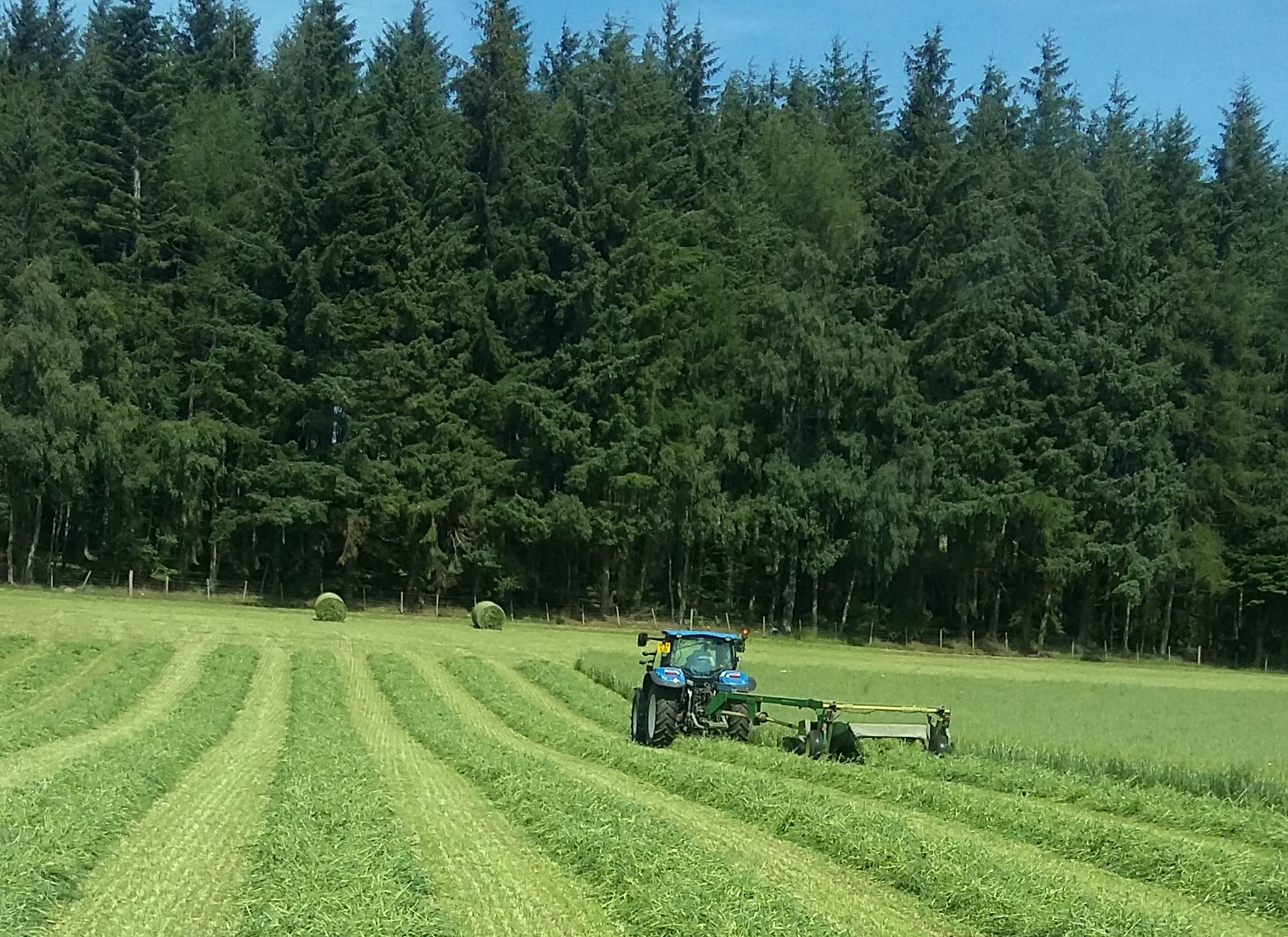 Farmers invited to Sanqhuar tree planting event