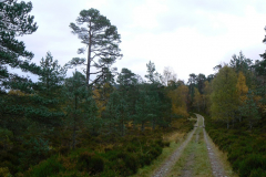 Environmental Impact Assessment