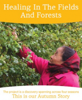 Healing In The Fields and Forests  Autumn