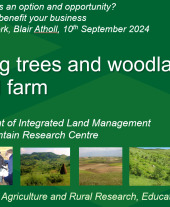 Integrating trees and woodlands onto a hill farm