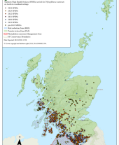 Phytophthora ramorum outbreak map - updated October 2024