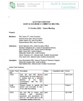 Audit and Assurance Committee Minutes - 11 October 2022