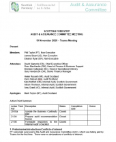 Audit and Assurance Committee Minutes November 2020 