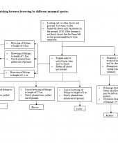 Guidance on Distinguishing Between Browsing by Different Mammal Species