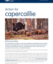 Action for Capercaille