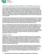 Advice on replanting sites affected by Phytophthora ramorum