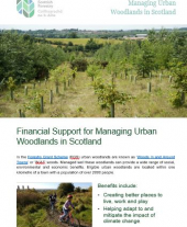 Financial Support for Managing Urban Woodlands in Scotland