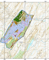 Acha-Bheinn Appendices: 11.3 Original Woodland Design Map