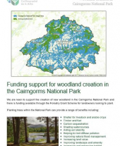 Funding Support for Woodland Creation in the Cairngorms National Park