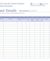 FP3b: Grant Details Form