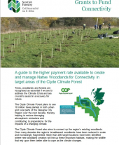 Grants to Fund Connectivity