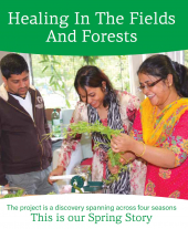 Healing In The Fields and Forests  Spring