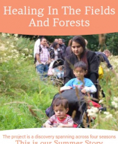 Healing In The Fields and Forests Summer