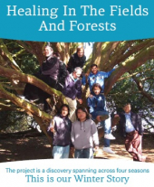 Healing In The Fields and Forests  Winter