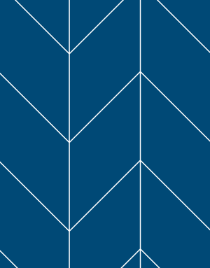 1Bealach_Website_Active_Plan_Summary